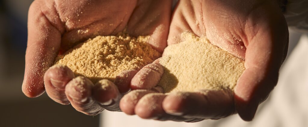 Inspiratie semolina harde tarwe Grand'Italia