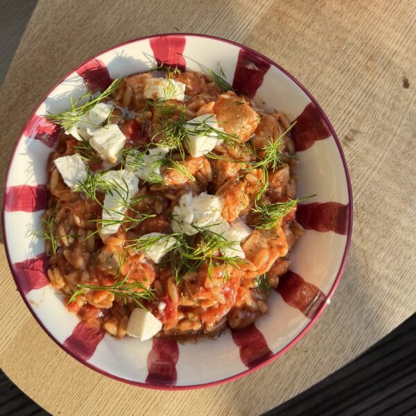 Orzo pasta gerecht op een vrolijk wit bordje met rode strepen. Het gerecht heeft een rode kleur door de tomaten en bovenop de orzo liggen stukjes gesmolten mozzarella en plukjes verse dille.